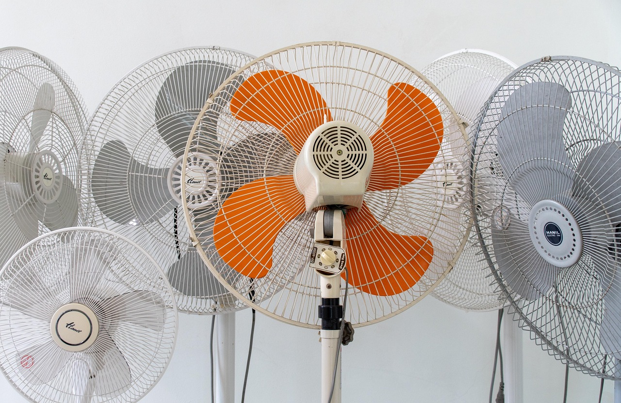 Desk Fan with Adjustable Speed
