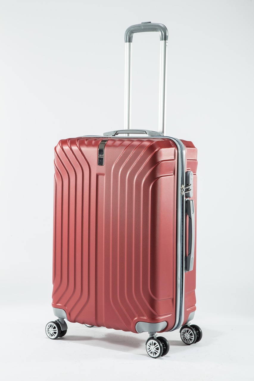 Maroon Travel Bag